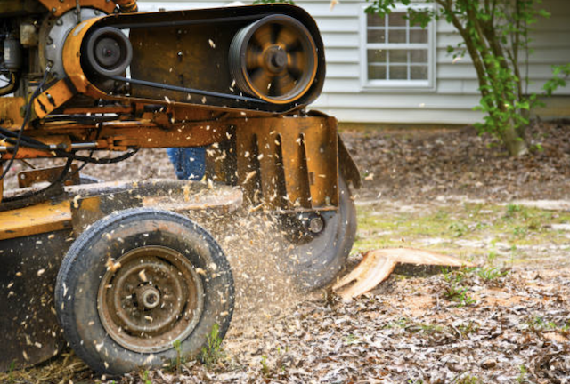 stump removal in Golden Heights